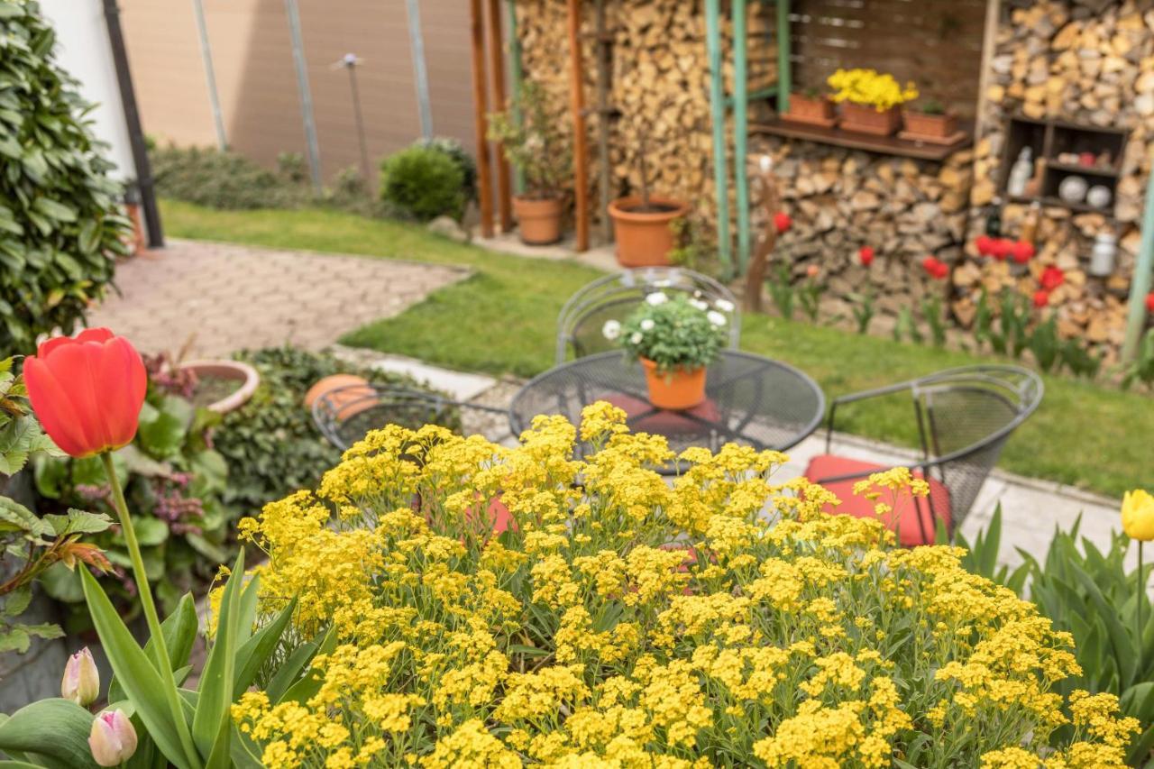 Haus Schneider Lejlighed Kressbronn am Bodensee Eksteriør billede