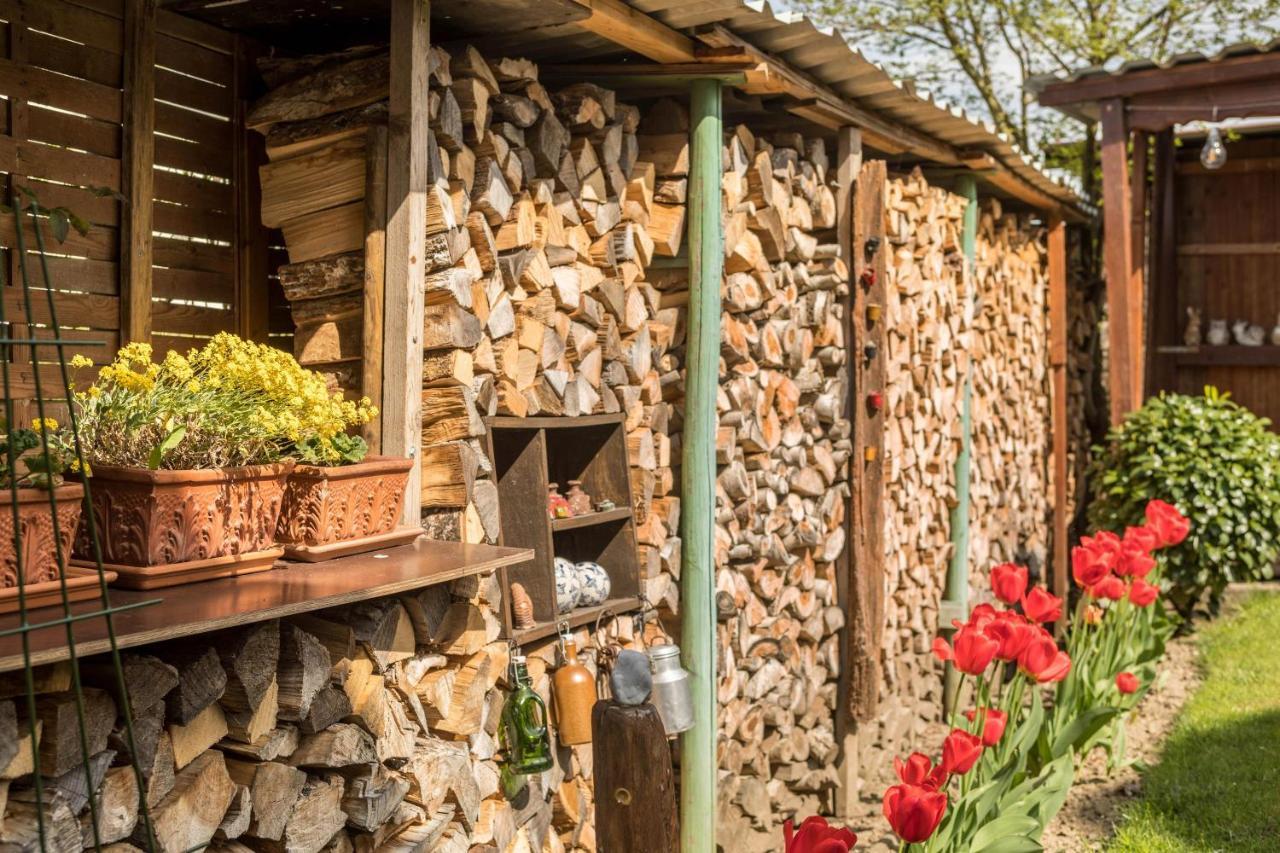 Haus Schneider Lejlighed Kressbronn am Bodensee Eksteriør billede